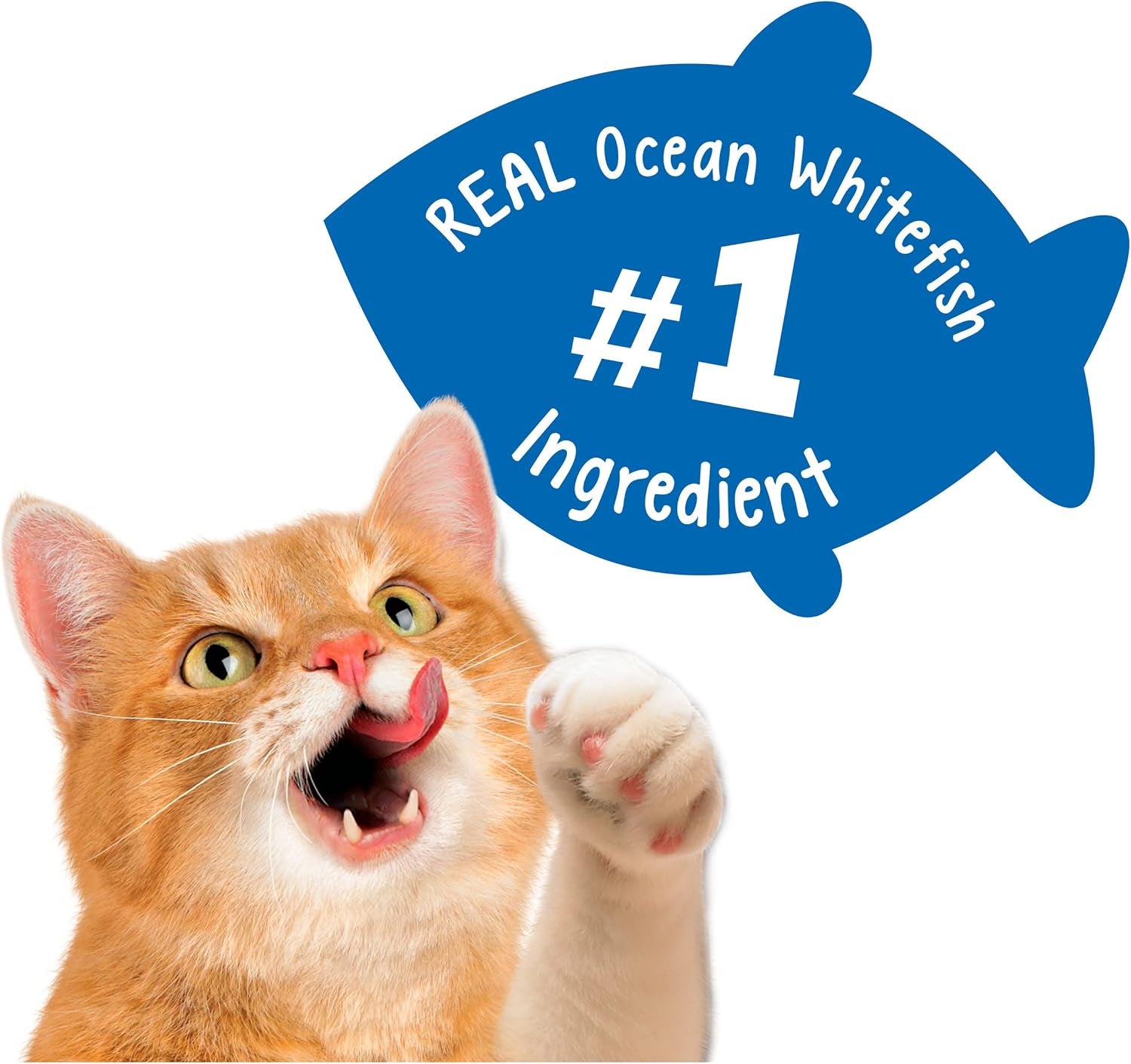 purina-friskies-party-mix-cat-treats-beachside-crunch-made-with-ocean-whitefish-crunchy-cat-treats-for-adult-cats-20-ounce-resealable-canister-pack-of-2