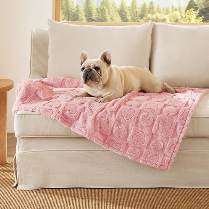 Bedsure Dog Blanket for Small Dogs Puppy Cats with Soft Fleece 25X35 White | 300GSM Fuzzy Jacquard Doggy Kitten Blanket Washable for Crate Cage, Pet Bed, Indoor Cats, Puppy Essentials, Cute Dog Gift15