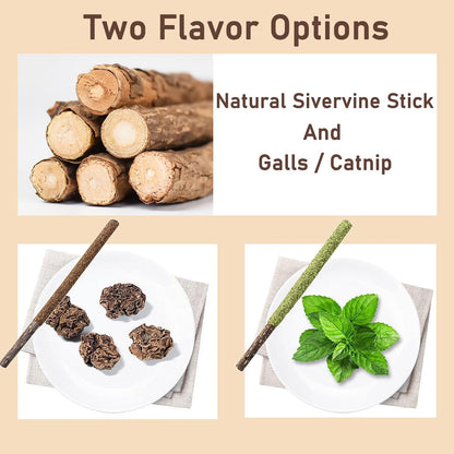Natural Silvervine & Catnip Dental Chew Sticks,12 PC | 100% Natural Dental Chews (6 Catnip, 6 Silvervine Fruit). Cleans Teeth, Freshens Breath, and Relieves Kitten Teething3