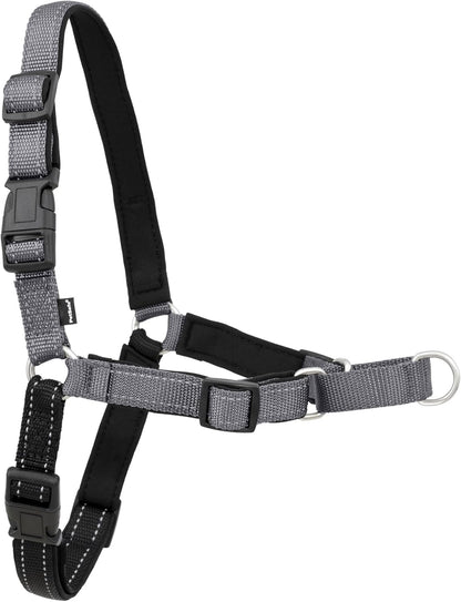 Petsafe Easy Walk Deluxe Dog Harness, No Pull Dog Harness – Perfect for Leash & Harness Training – Stops Pets from Pulling and Choking on Walks – Medium, Ocean12
