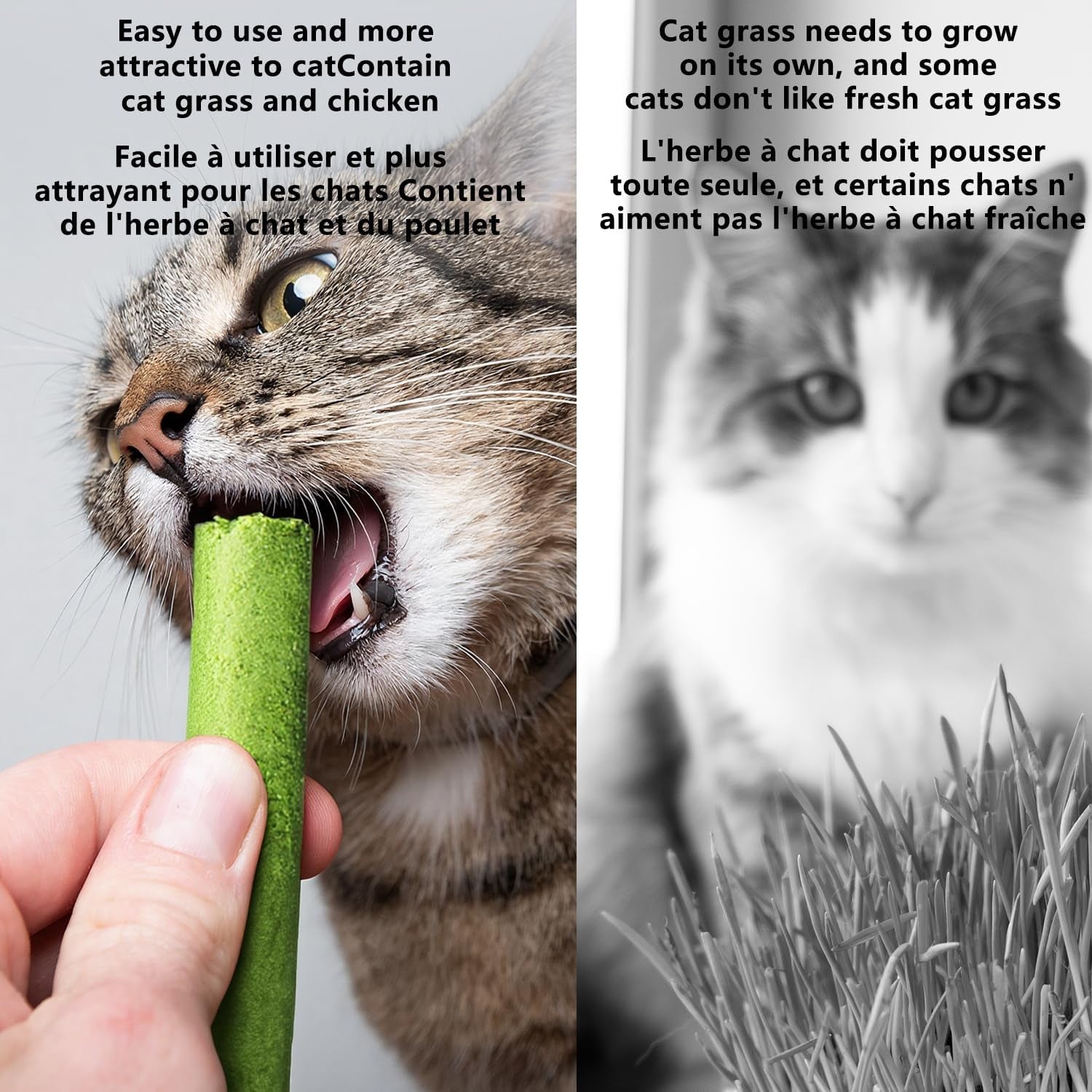 20pcs-cat-grass-stick-snacks-100g-freeze-dried-snacks-catnip-for-cat-dental-care-and-hairball-removal-pampering-gastrointestinal-system
