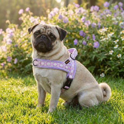 Didog No Pull Dog Harness for Small Medium Dogs, Floral Print, Purple, S | Soft Flannel Padded, Quick Fit, Easy on and Off, Night Safty, Adjustable & Reflective for Walking and Training, Chest 19-22"2