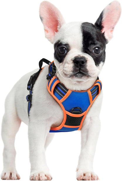 Rabbitgoo Dog Harness, No Pull for Large Dogs with 2 Leash Clips, Pet Vest | No Choke with Handle, Adjustable Soft Padded, Reflective, Easy Control for Walking, Black, Large29