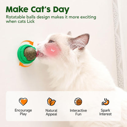 Potaroma Catnip Toys Balls 4 Pcs with Extra Cat Energy Ball | Edible Kitten Catnip Silvervine Toys for Cats Lick, Healthy Kitty Teeth Cleaning Dental Chew Toys, Cat Wall Treats (Green)3