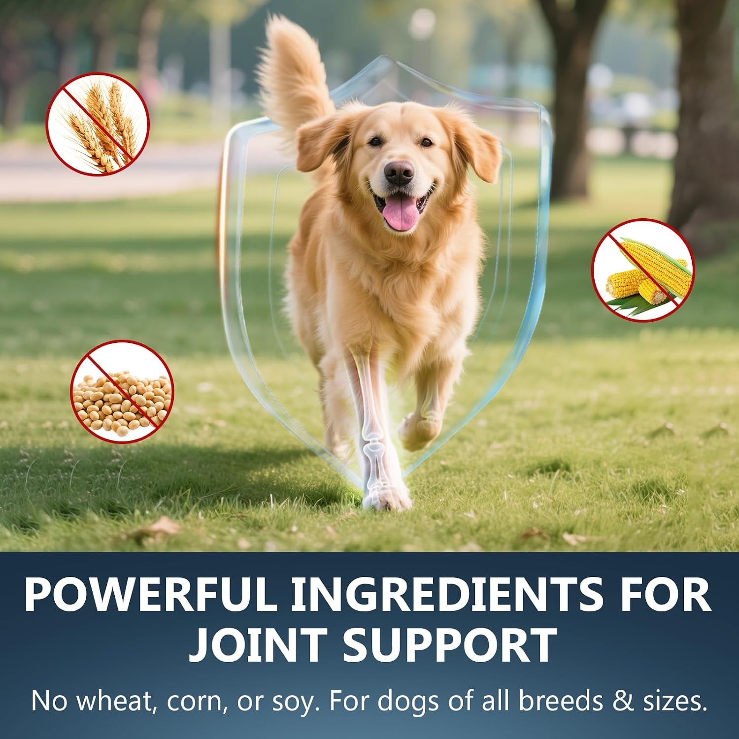 glucosamine-for-dogs-150-soft-chews-hip-joint-supplement-with-msm-chondroitin-turmeric-joint-support-for-dogs-chicken-flavor-vet-formulated-2-month-supply