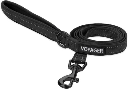 Best Pet Supplies Voyager Nylon Dog Leash - Fuchsia, Small | 5Ft in Length, 5/8" in Width, Reflective, Soft Neoprene Handle, Heavy Duty Metal Clips for Running, Walking & Training37