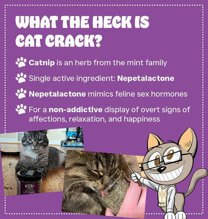 Cat Crack Catnip, Zoomie-Inducing Cat Nip, 100% Natural North American Made | 100% Natural, Safe & Non-Addictive Catnip Treats Used to Supplement Cat Nip Toys, Spray, & Accessories (1 Cup)2