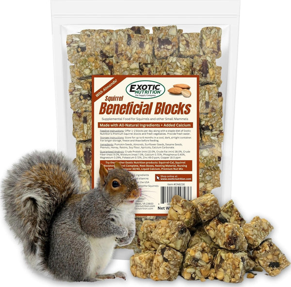 Exotic Nutrition Squirrel Beneficial Blocks - Healthy & Unique Supplemental Food with Nuts & Seeds, 10 Oz10