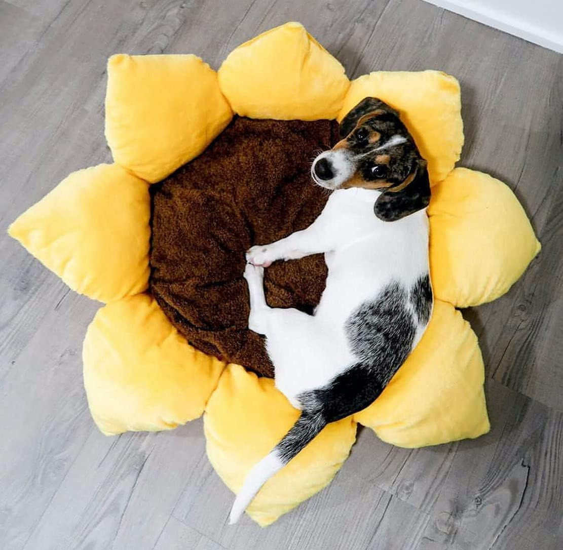 tonbo-soft-plush-small-cute-and-cozy-nature-dog-cat-bed-washer-and-dryer-friendly-sunflower