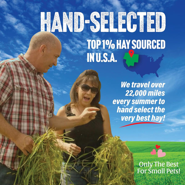 Small Pet Select Hay Sampler Box, Timothy, Oat & Orchard, 4 Types | Try 2Nd & 3Rd Cutting Timothy, Oat Hay & Orchard Grass, for Rabbits, Guinea Pigs, Chinchillas & Small Pets4