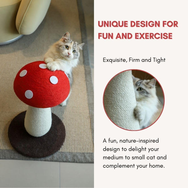 Mushroom Cat Scratching Post - Unique Design, Sisal-Wrapped, Ideal for Medium and Small Cat, Cat Scratcher Cute with 100% Sisal Covered Scratching Post3