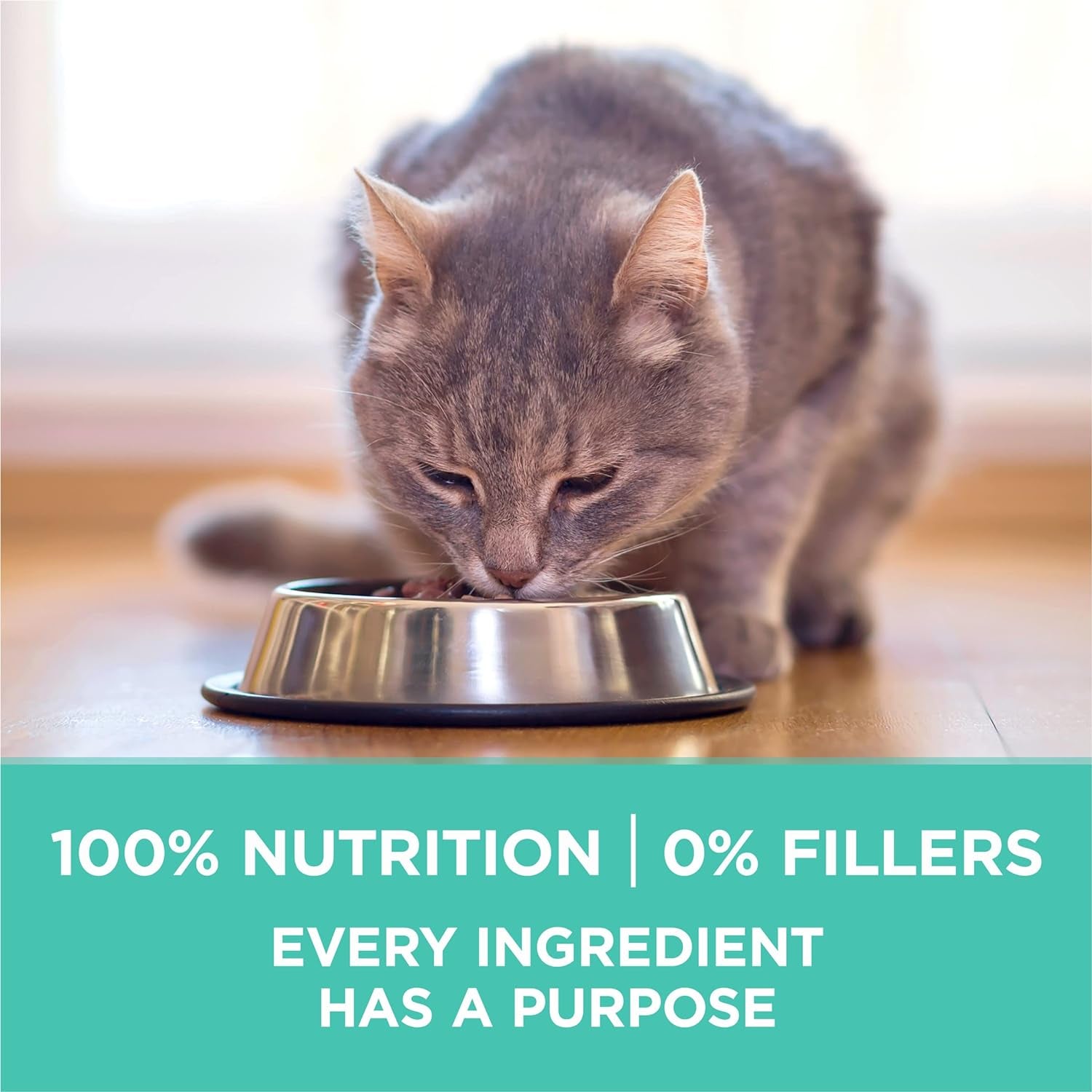 purina-one-sensitive-stomach-sensitive-skin-natural-dry-cat-food-plus-sensitive-skin-and-stomach-formula-16-lb-bag