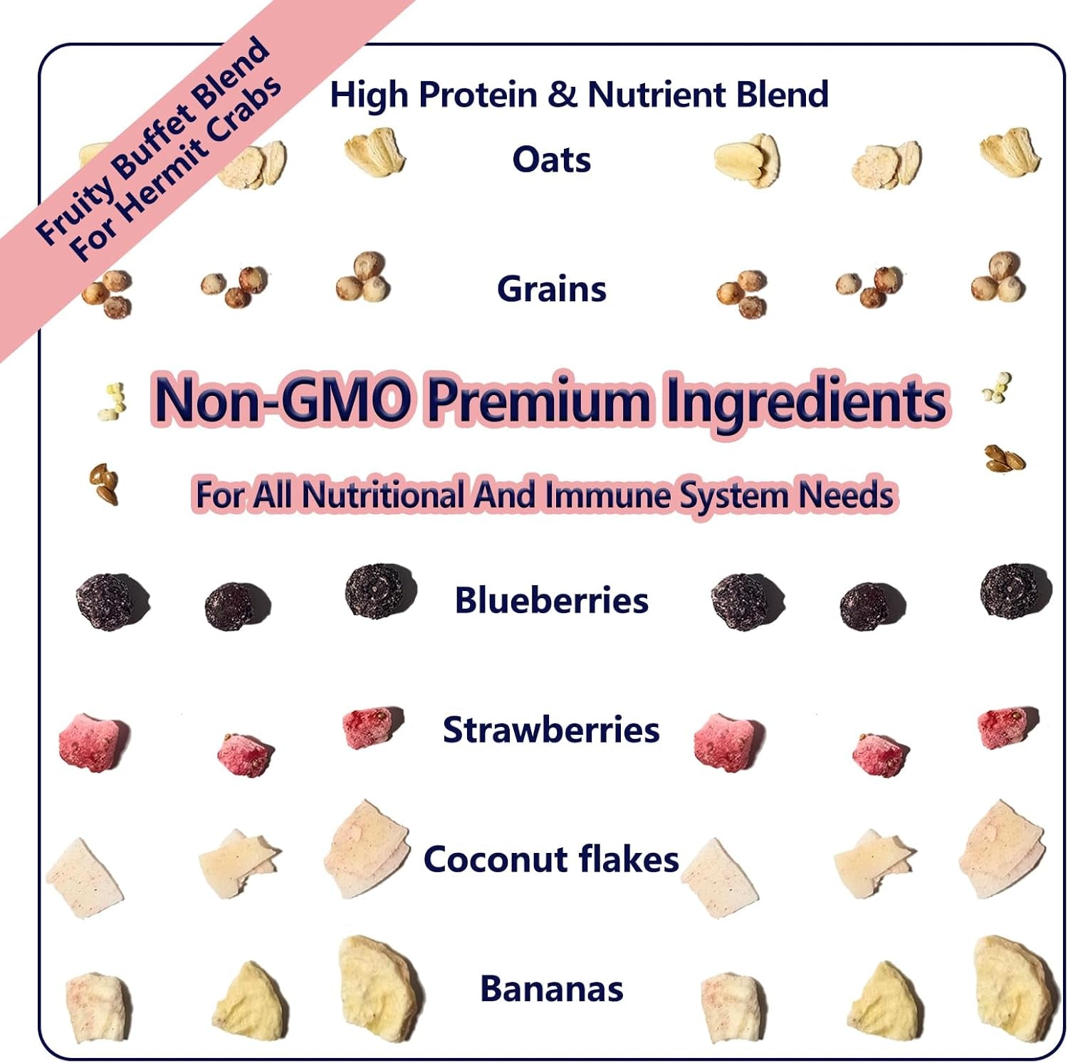jadingsfarm-fruity-buffet-blend-diet-4-4-oz-food-for-hermit-crabs-all-natural-hermit-crab-food-hermit-crab-treats-high-protein-nutrient-blend-diet-of-oats-blueberries-strawberry-banana-sprouted-seeds-mix-for-hermit-crabs