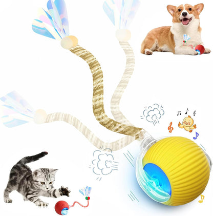 2 Packs Speed 2.0 Tail Interactive Cat Toys for Indoor Cats, Chirping & Motion Activate Cat Toy, Smart Kitten Rolling Ball Moving Ball Toys, Rechargeable Dog Cats Bal L for Enrichment Exercise16