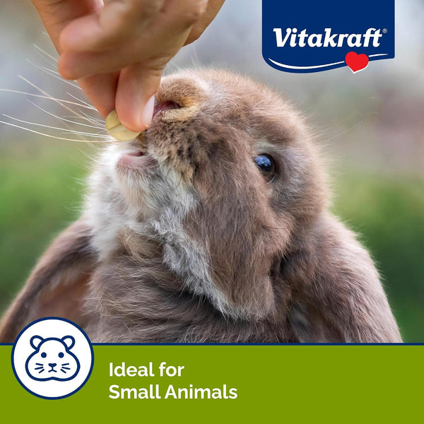 Vitakraft Drops Yogurt Drops Treat for Rabbits Guinea Pigs and Hamsters – Made with Real Dried Yogurt and Whey Protein – Vanilla Flavor with No Artificial Colors Flavors or Preservatives – 5.3 Oz Bag5