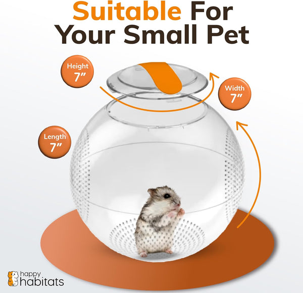 Clear Hamster Exercise Ball 7” – Pet Rat Accessories | Sturdy Dwarf Hamster Ball for Safe, Active Play – Ventilated Small Animal Toys for Gerbils, Mice & Other Small Pets3