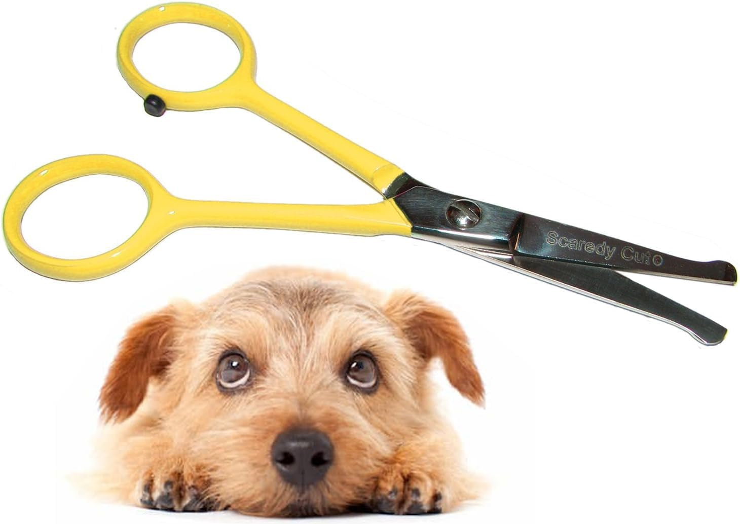 tiny-trim-4-5-ball-tipped-scissor-for-dog-cat-and-all-pet-grooming-ear-nose-face-paw-scaredy-cuts-small-safety-scissor-blue