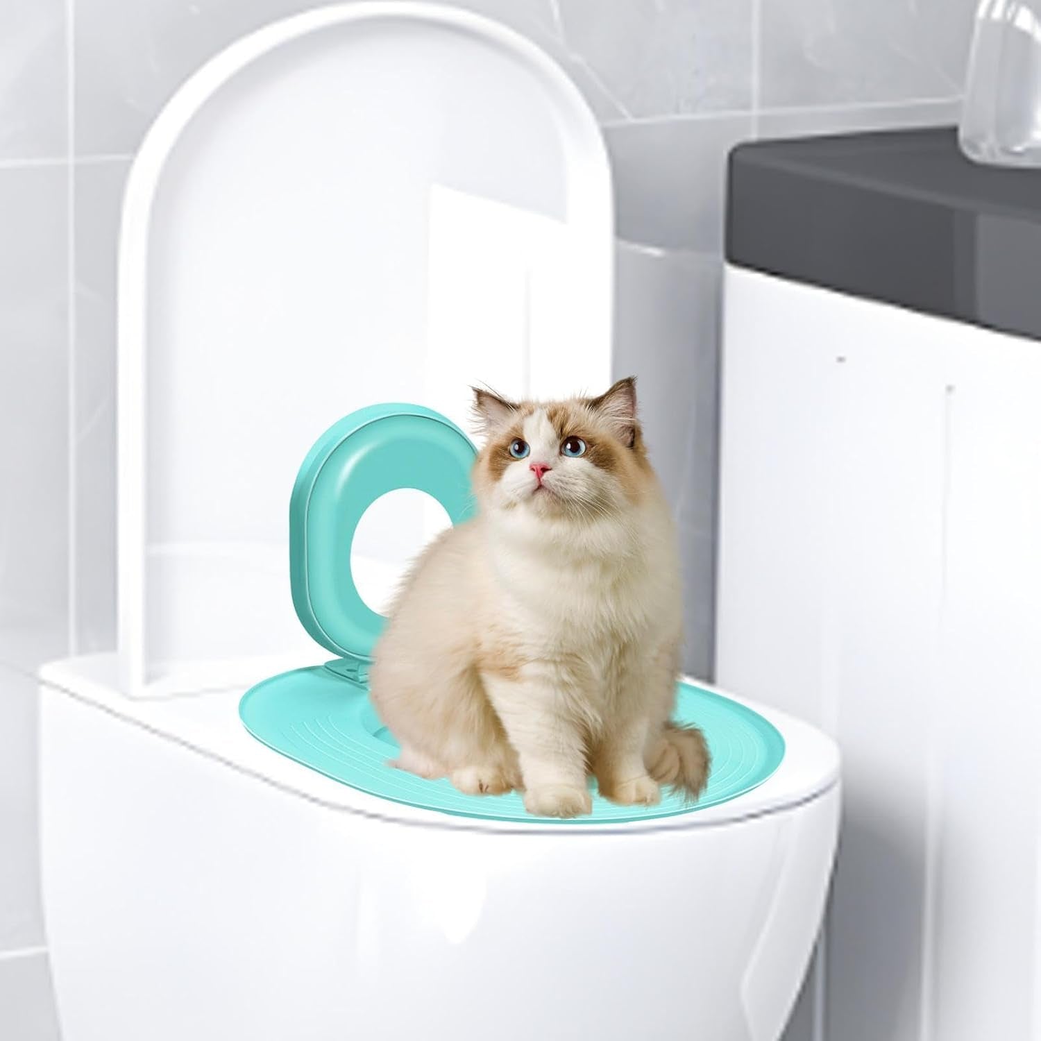 cat-toilet-trainer-15-35-inches-ppcat-litter-tray-suction-cup-fixation-pad-bathroom-training-tool-for-kitten-adult-feline-home-hygiene-waste-reduction-and-daily-pet-use