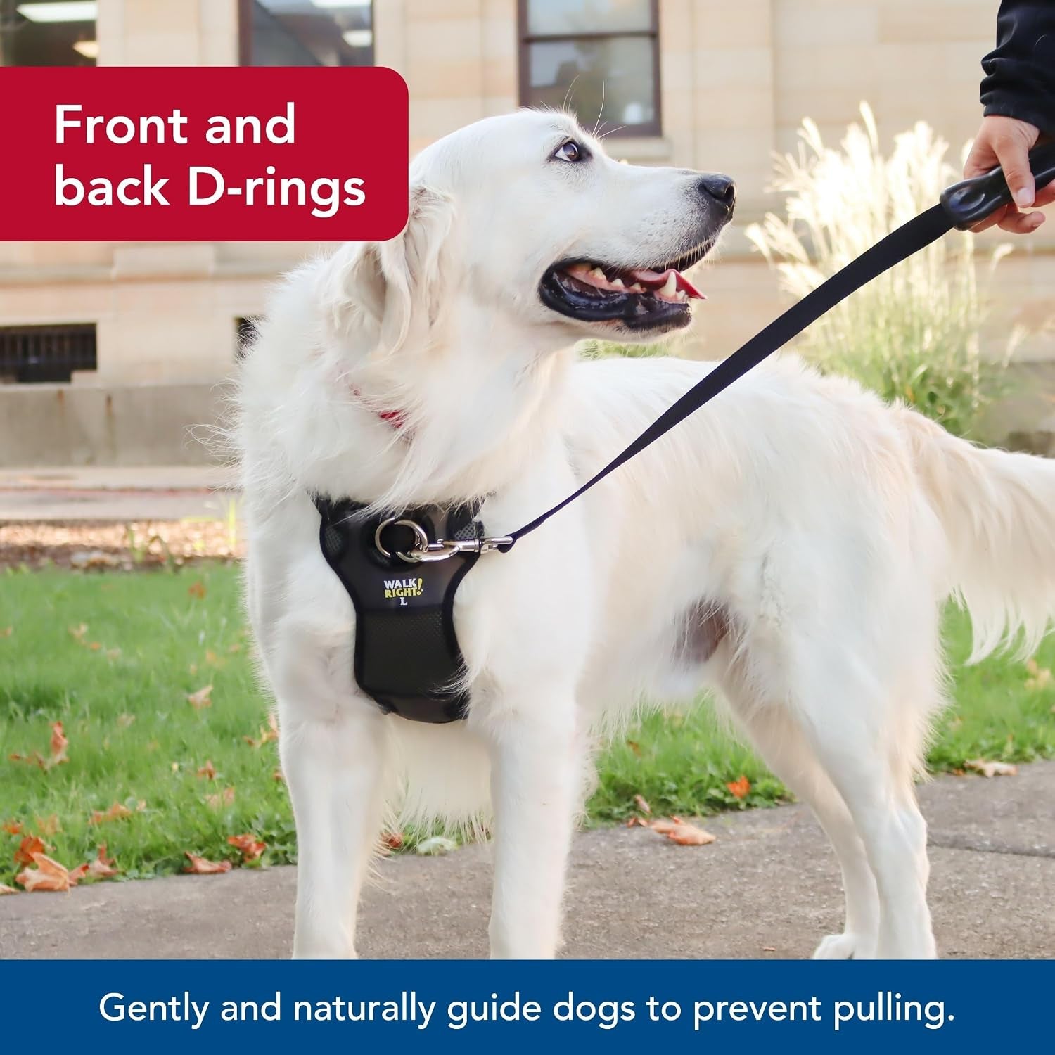 coastal-pet-walk-right-front-connect-no-pull-padded-dog-harness-adjustable-comfortable-dog-harness-small-large-breed-fit-quality-pet-supplies-black-lrg-26-38