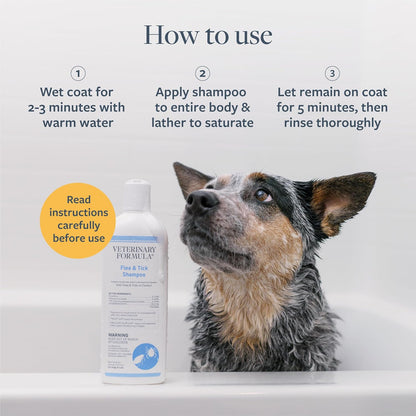 Veterinary Formula Flea and Tick Shampoo for Dogs and Cats, 16 Oz6