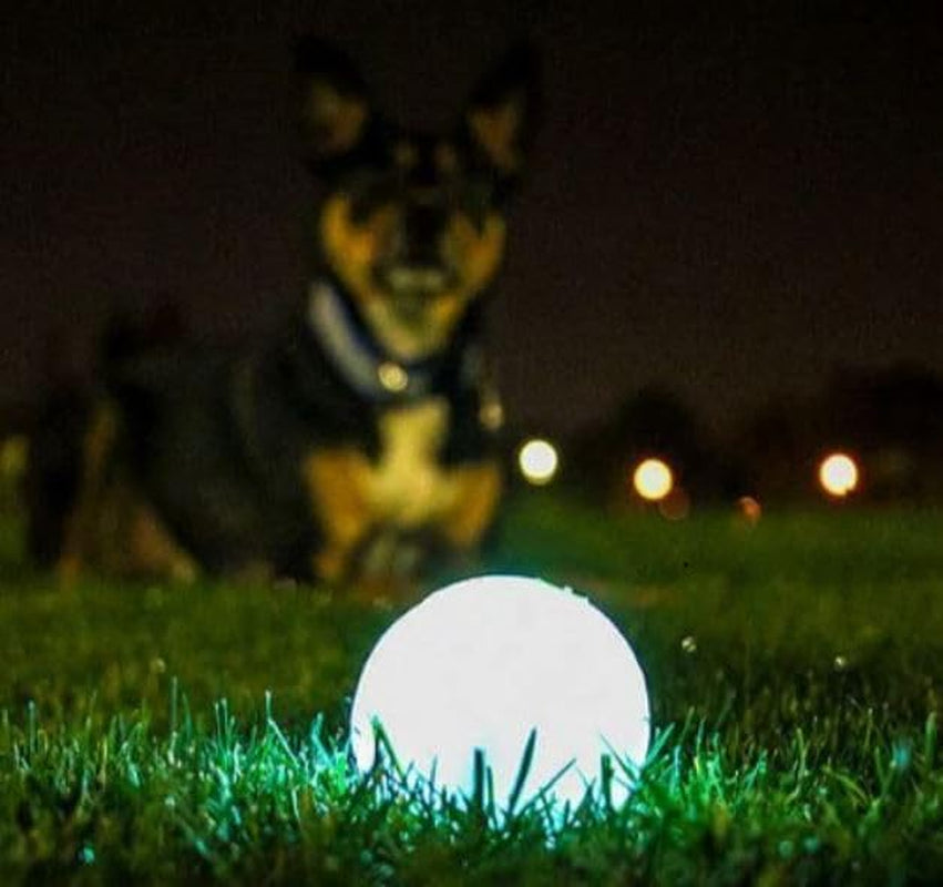 chuckit-glow-in-the-dark-bouncy-balls-ball-for-dogs-chuckit-dog-toy-max-glow-balls-medium-2-5-inch-pack-of-2