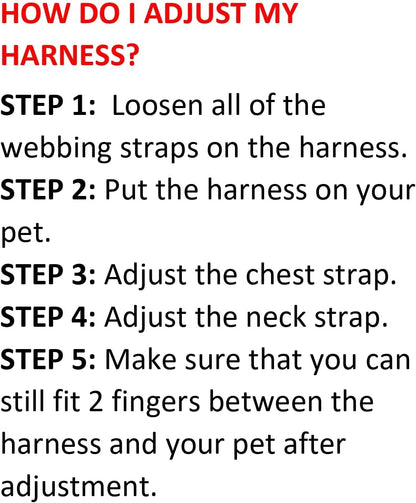 Best Pet Supplies Voyager Step-In Air All Weather Mesh Harness and Reflective Dog 5Ft Leash Combo with Neoprene Handle, for Small, Medium and Large Breed Puppies - Baby Blue, Small8