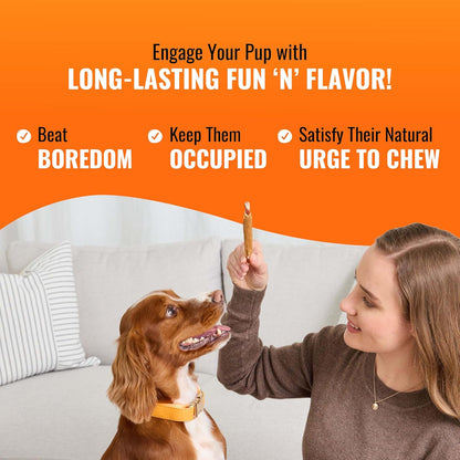 Good 'N' Fun Rolls Long-Lasting Dog Treat, for Large Dogs, with Real Proteins, Beef Hide and Premium Chicken, Supports Dental Health, Mental Stimulation, 6 Count3