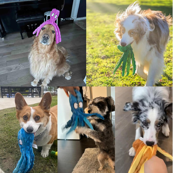 HGB Squeaky Dog Toys - 2 Pack No Stuffing Octopus Crinkle Plush Chew Toys for Puppies Small Medium Large Dogs, Interactive Tug Toys to Keep Dogs Busy7