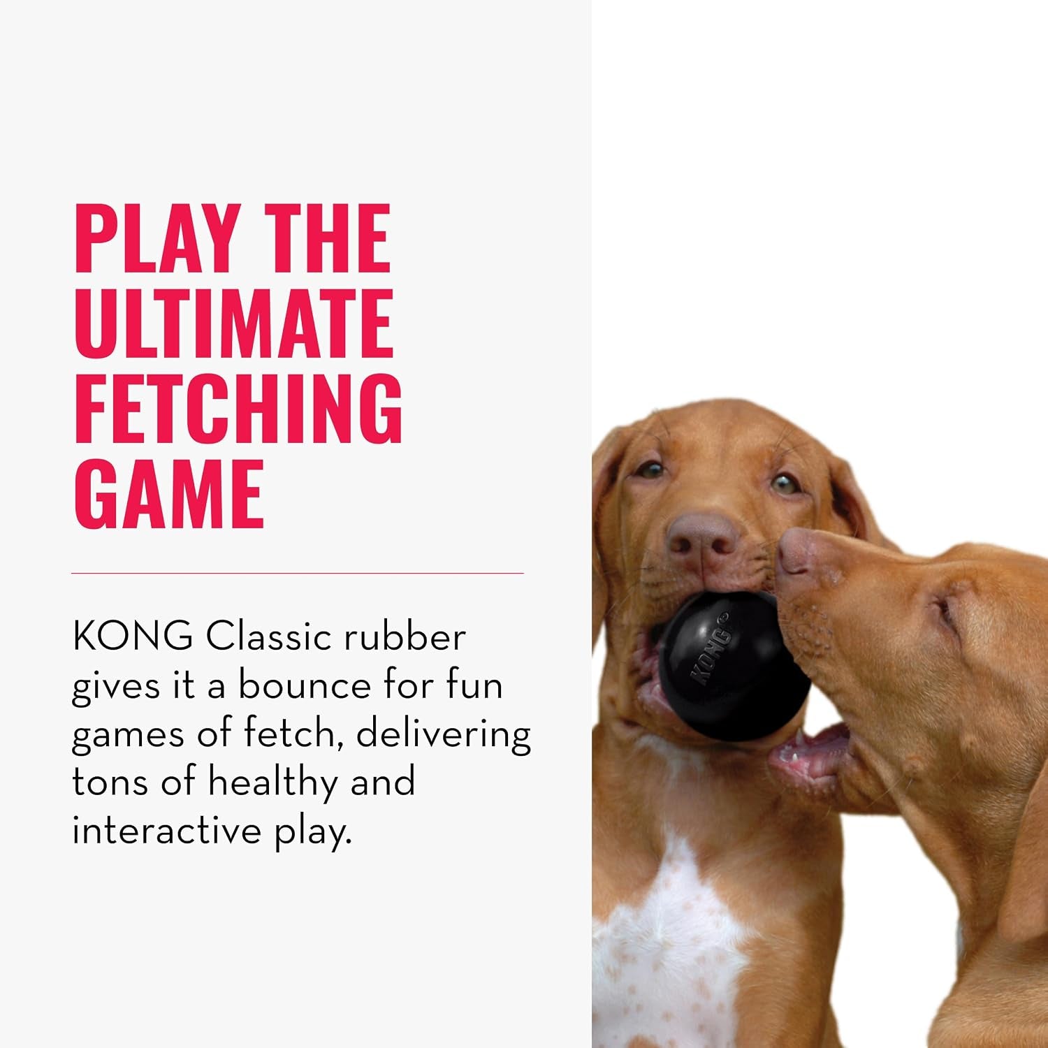 kong-extreme-ball-with-hole-fetch-toy-durable-dog-toy-for-training-interactive-playtime-more-natural-extreme-rubber-ball-black-for-medium-large-dogs