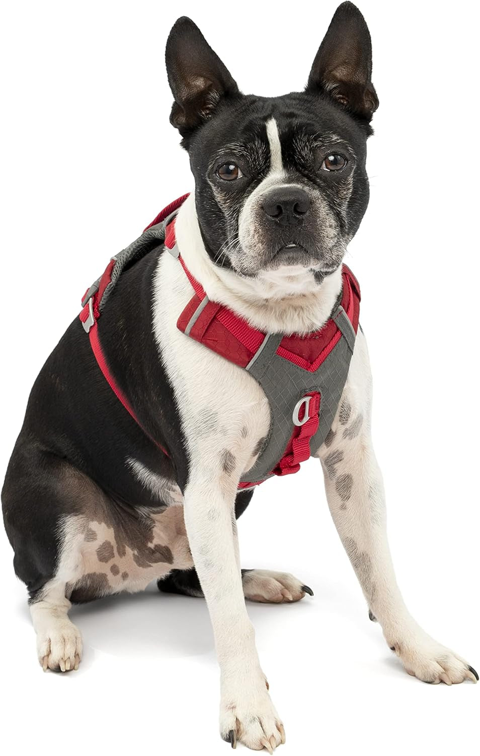 kurgo-journey-air-dog-harness-blue-small-padded-chest-ripstop-outer-breathable-mesh-back-assist-handle-rust-free-aluminum-hardware-reflective-trim
