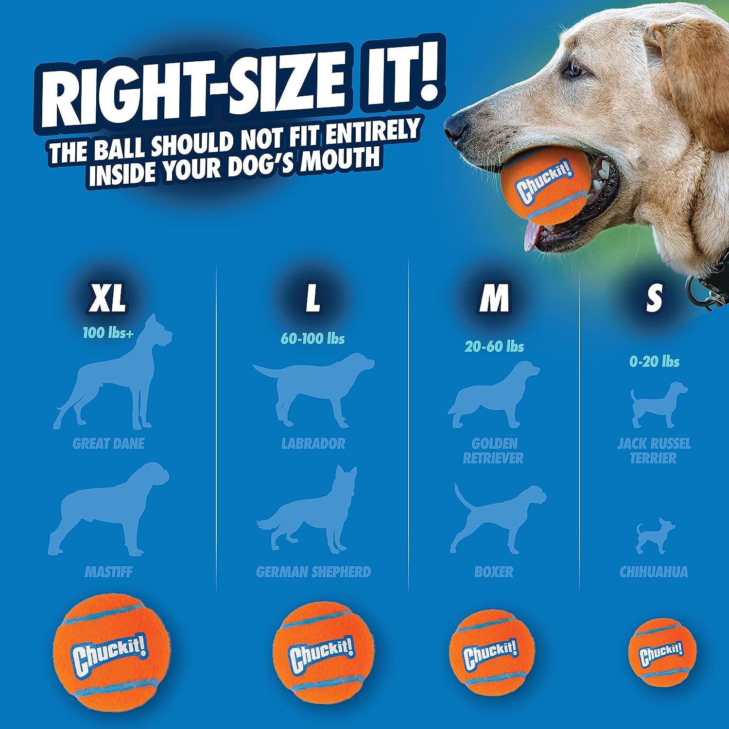 chuckit-dog-tennis-ball-dog-toy-medium-2-5-inch-diameter-for-dogs-20-60-lbs-pack-of-4