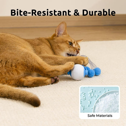Cat Toys for Indoor Cats, Interactive Cat Toy Ball with Pom-Pom Tails, Automatic Cat Toy Self Play Exercise Toy to Relieve Boredom for Kitten & Adult Cats (Blue)4