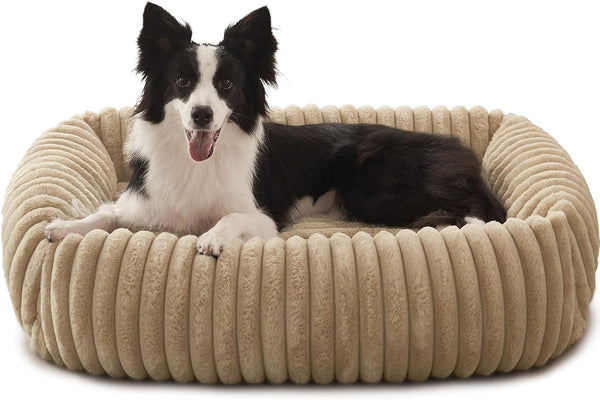 FURTIME Dog Bed for Small Dogs, Cat Beds for Indoor Cats Washable, Orthopedic Rectangle Soft Calming Puppy Bed with Removable Cover, Durable Pet Cuddler with Anti-Slip Bottom, Grey, S (20"X19"X6")13
