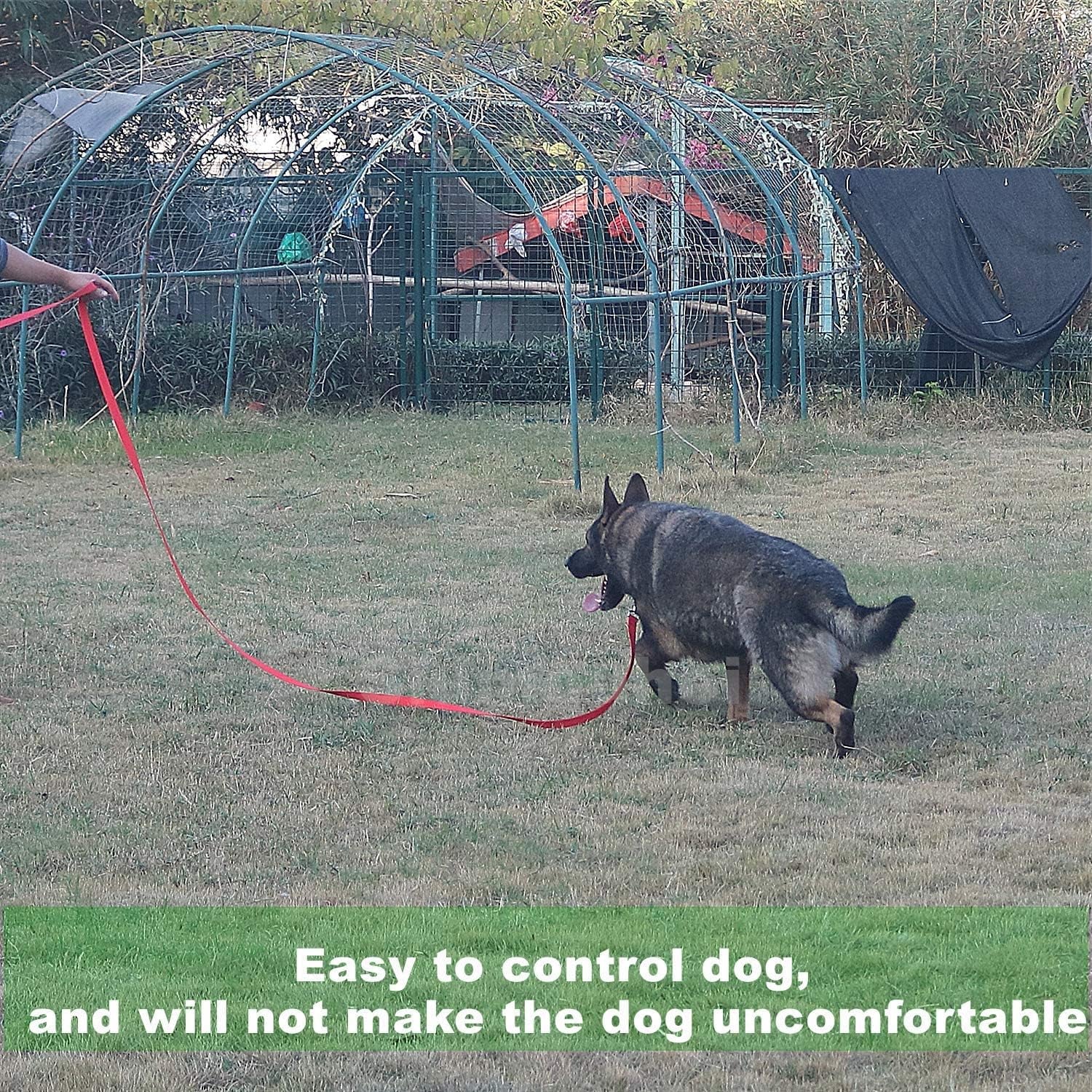 strong-durable-nylon-10ft-long-dog-training-leash-traction-rope-1-inch-wide-for-small-and-medium-dog-black-10-feet