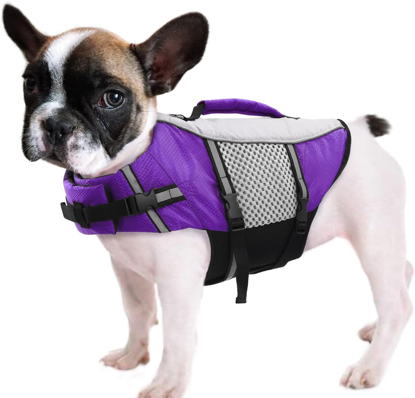 queenmore-dog-life-jacket-small-float-vests-for-swimming-boating-kayaking-mediumn-puppy-dogs-cats-neoprene-life-preserver-pet-water-lifesaver-lightweight-reflective-green-l