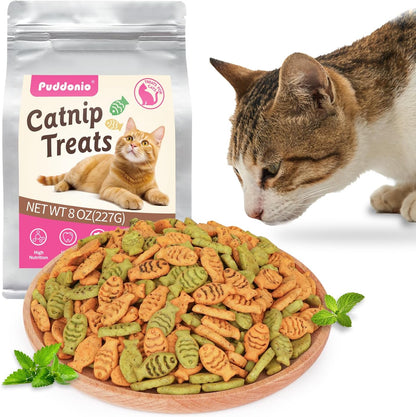 Catnip Cat Treats, Chicken & Salmon Flavor, Crunchy Bites, 16 Oz | Catnip-Infused Fish-Shaped Biscuits with Chicken and Salmon Flavors, Made for Training, Rewarding, and Everyday Bonding10