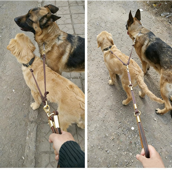 Genuine Leather Braided Coupler for Dog Leash,Leather Dog Leash for Walking Two Dogs, Multipurpose, Can Be Used as Safety Seatbelt Leash in Car, Backup Clip for Dog Harness7