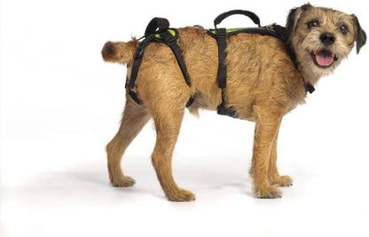 Help 'Em Up® - Dog Lift Harness│ Adjustable Lifting Harness for Dogs │ Full Body Support, Rear Leg Support (Conventional, Medium, 45-80 Lbs)9