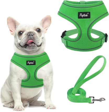 PUPTECK Soft Mesh Dog Harness Small Sized and Leash Set Pet Puppy Cat Comfort Padded Vest No Pull Harnesses, Beige, S48