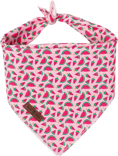 Lionet Paws Dog Bandana for Small Medium Large Dogs, Cat Kerchief Blue DOIT, Triangle Bibs Scarf for Girl or Boy36