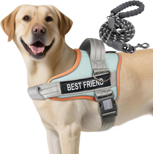 AUROTH Dog Harness and Leash Set, Soft Padded Service Dog Vest with 5.25FT Dog Leash, No Choke, Easy on Pet Vest, Adjustable Reflective No Pull Pet Vest Medium Sized Dog, Easy Walking and Training19
