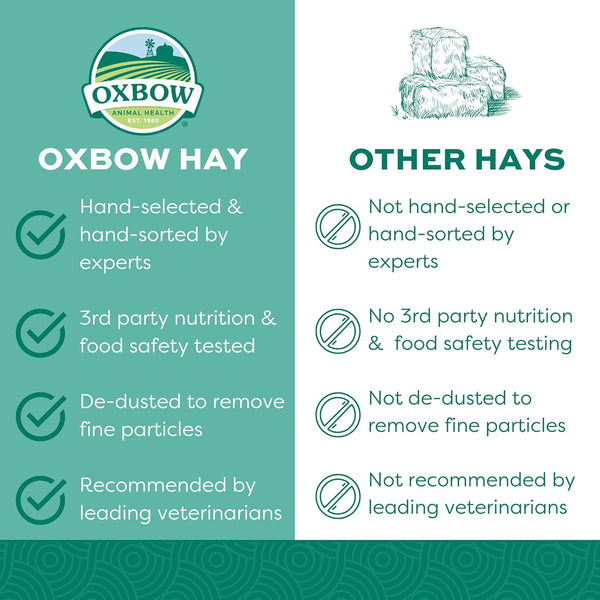 Oxbow Western Timothy Hay, Guinea Pig Hay, Small Pet Bunny Supplies, All Natural Grass for Guinea Pig, Bunny, Chinchilla & Hamster, Oxbow Rabbit Supplies for Bunnies, 9 Lb Box | Oxbow Timothy Hay, Bunny Hay for Rabbits, Guinea Pigs, Bunnies and Chinchillas, Hand-Sorted, De-Dusted, Made in USA3