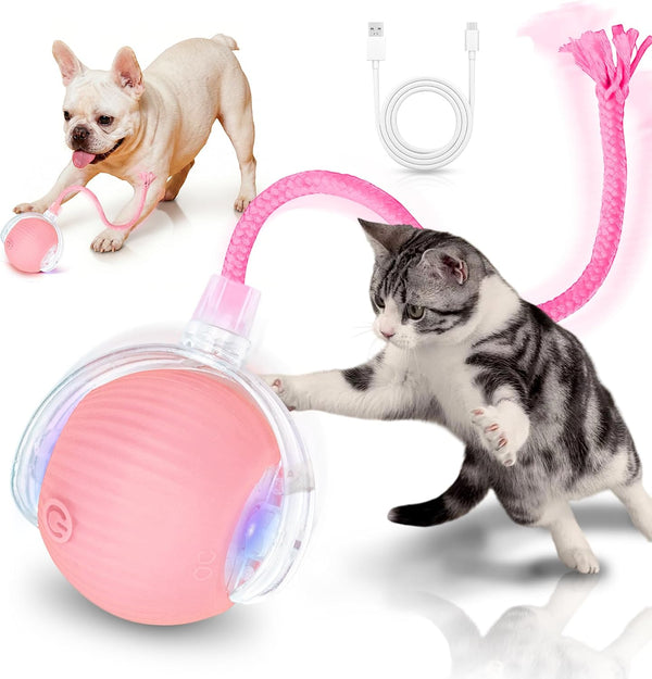 Cat Toys for Indoor Cats Smart Automatic Bal Moving Chase Dogs Toy, Red | Ball Rolling for Bored Kitten Pet, Upgraded Speedy Moving Chase Dogs Toy8