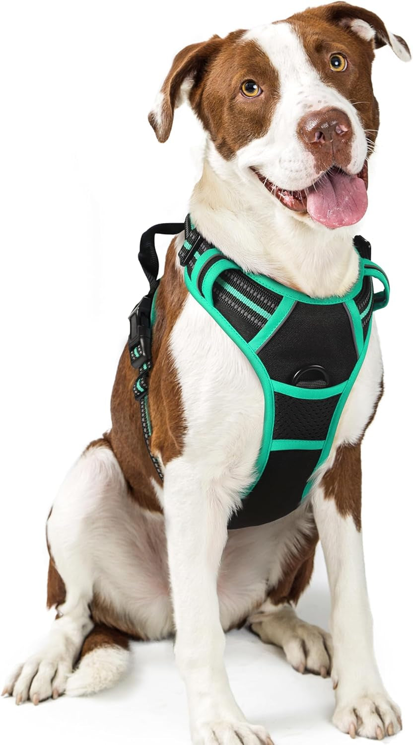 rabbitgoo-dog-harness-no-pull-for-large-dogs-with-2-leash-clips-pet-vest-no-choke-with-handle-adjustable-soft-padded-reflective-easy-control-for-walking-black-large