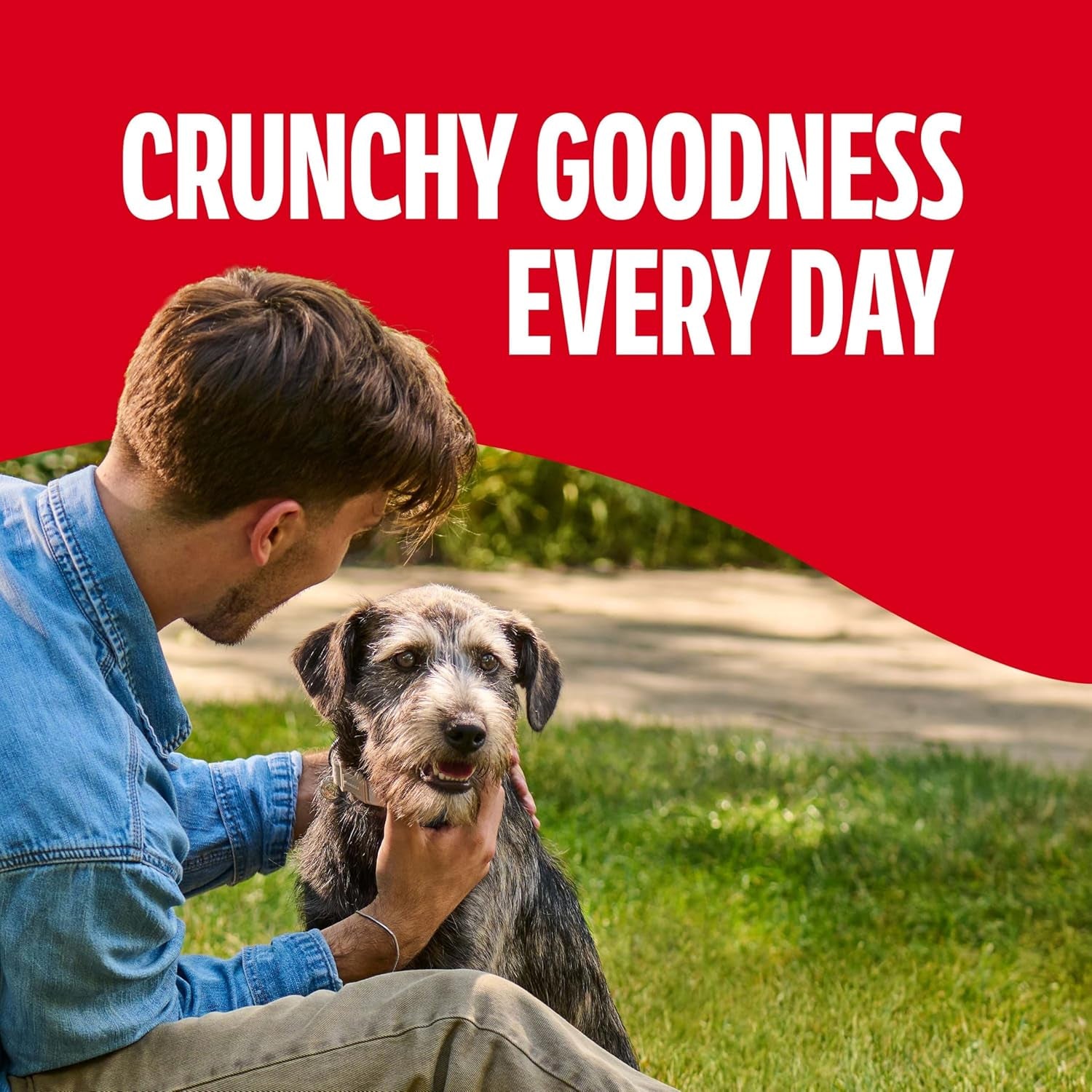 milk-bone-original-medium-dog-biscuits-10-lb-box-280-treats-classic-meaty-taste-crunchy-dog-treats-for-dogs-20-50lbs-15-protein-12-vitamins-minerals-made-in-the-usa