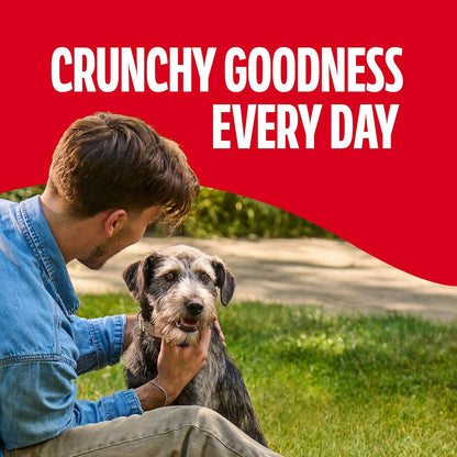 Milk-Bone Original Medium Dog Biscuits, 10 Lb Box | 280+ Treats, Classic Meaty Taste, Crunchy Dog Treats for Dogs 20-50Lbs, 15% Protein, 12 Vitamins & Minerals, Made in the USA6