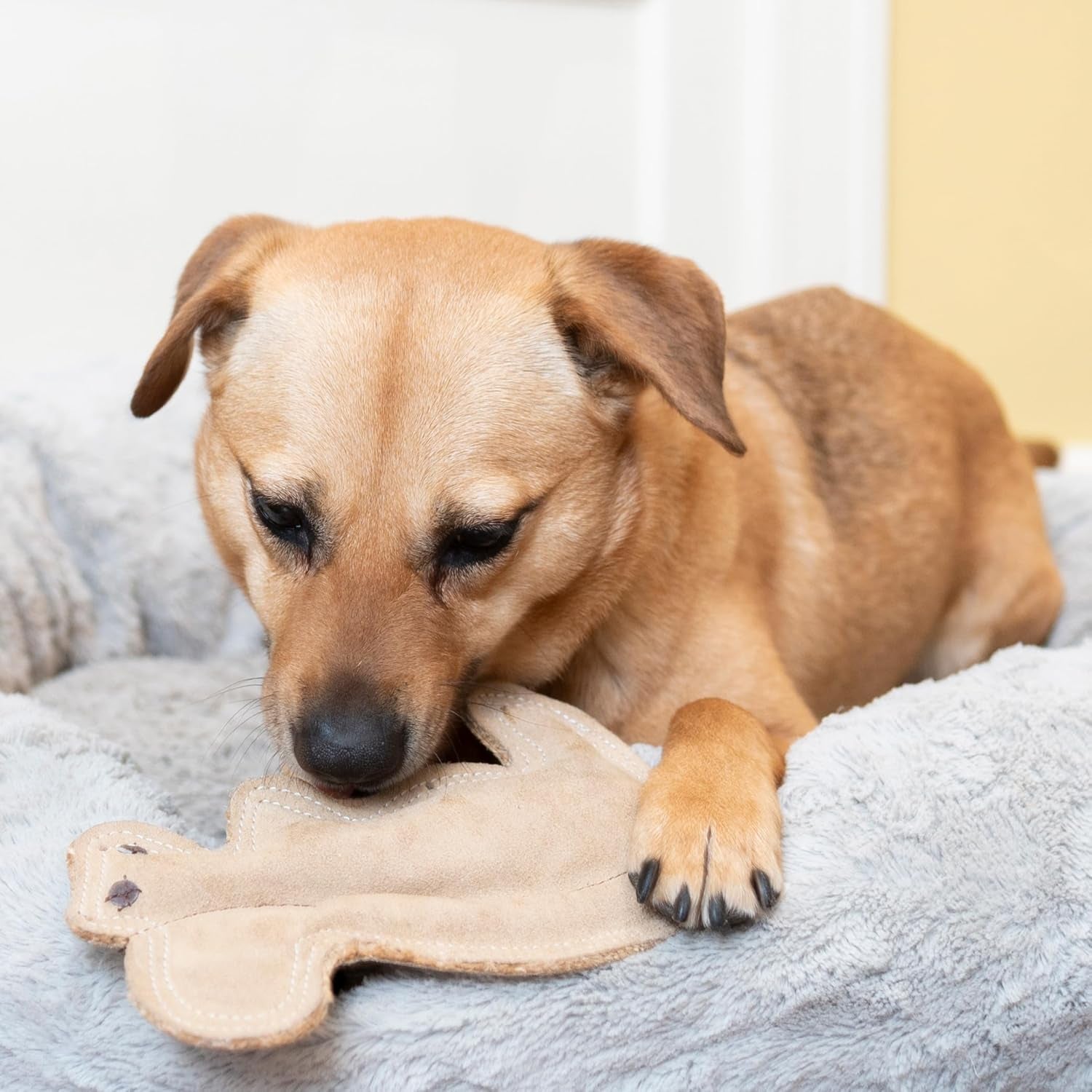 spot-dura-fused-leather-squirrel-dog-toy-real-leather-jute-fabric-double-stitched-durable-soft-stuffed-squeaky-interactive-chew-toy-for-moderate-chewers-small-medium-dogs-8in
