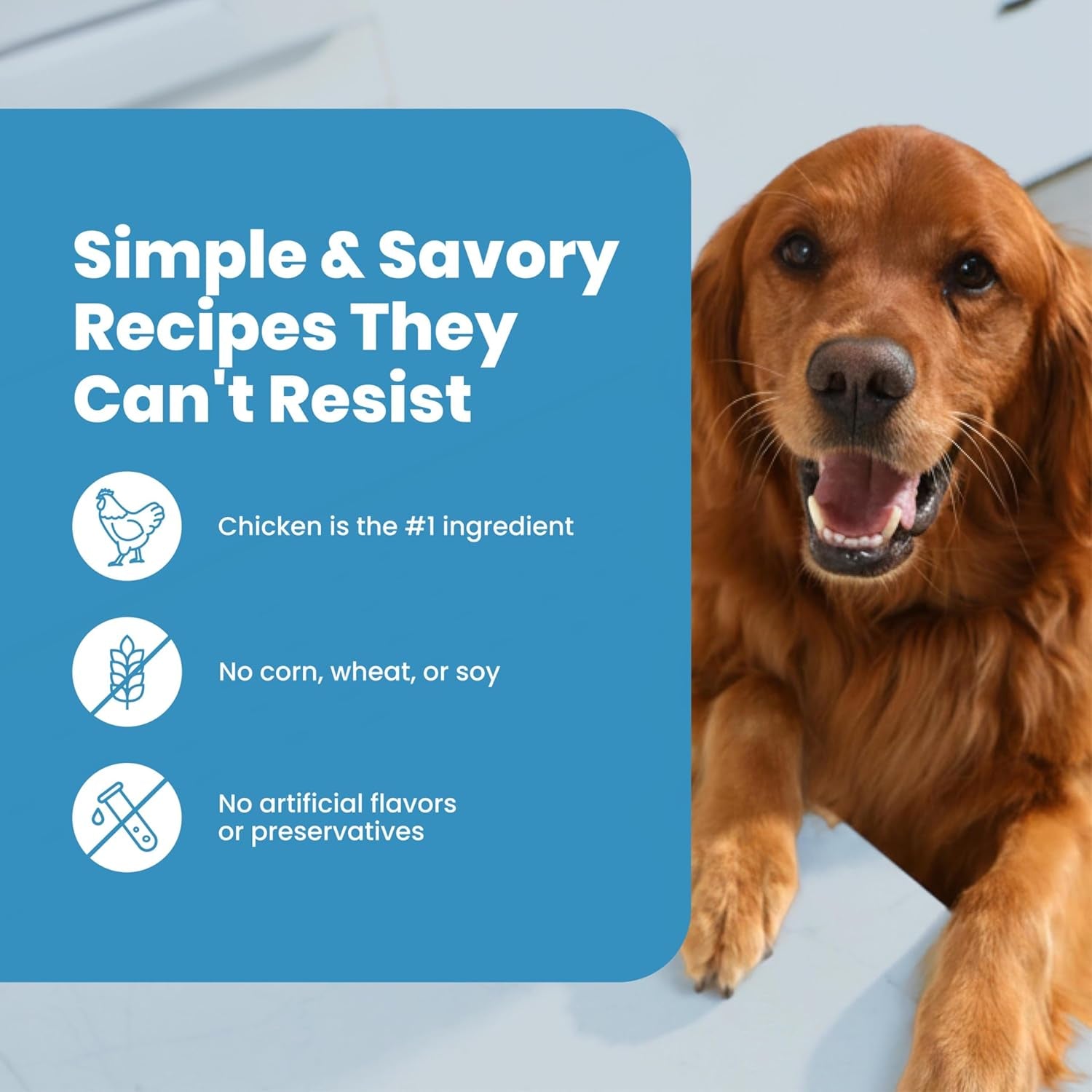 blue-buffalo-nudges-chicken-jerky-bites-natural-dog-treats-tender-meaty-dog-snacks-healthy-reward-or-training-treat-made-in-the-usa-with-real-chicken-no-artificial-preservatives-16-oz