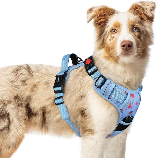 Rabbitgoo Dog Harness Medium Sized, Updated Easy on & off with 3 Buckles | No Pull No Choke, Walking with 2 Clips and Handle, Adjustable Soft Reflective, Blue, Medium47