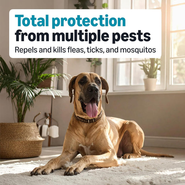 Amazon Basics Preventative Flea, Tick & Mosquito Topical Treatment for X-Large Dogs (Over 55 Pounds), Kills Fleas, Long-Lasting, 6 Count, Packaging May Vary3